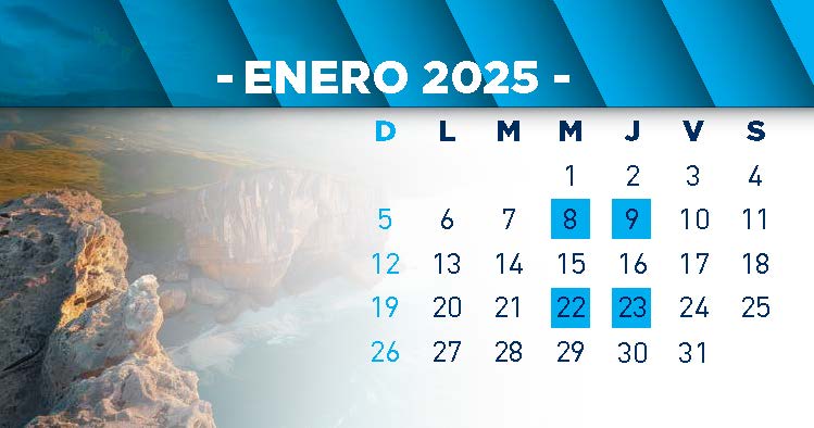 catorcenas enero 2025
